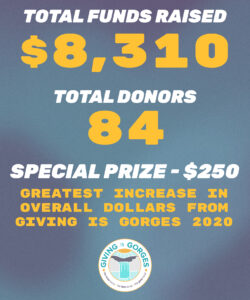 Graphic with stats from 2021 Giving is Gorges campaign